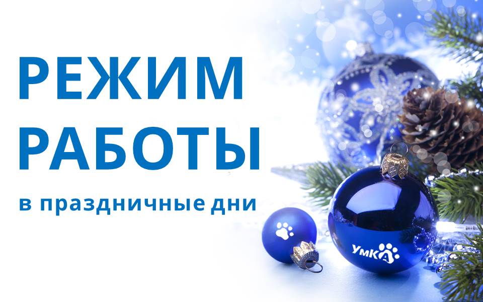 Дни Празднования Нового Года Дни Празднования Нового Года